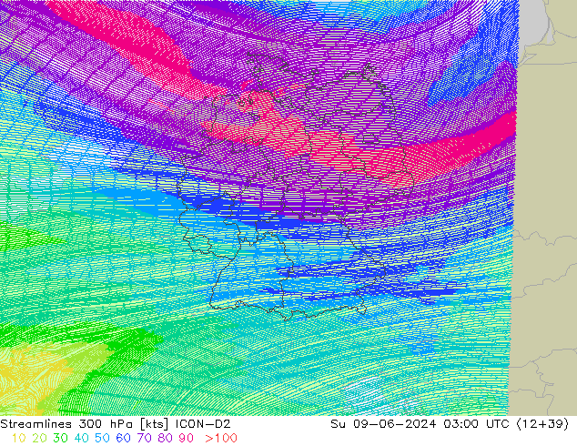 Linia prądu 300 hPa ICON-D2 nie. 09.06.2024 03 UTC