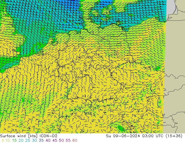 Wind 10 m ICON-D2 zo 09.06.2024 03 UTC