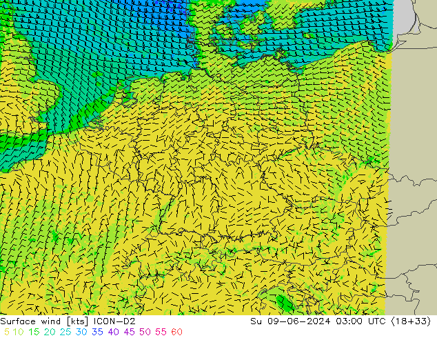 Vent 10 m ICON-D2 dim 09.06.2024 03 UTC