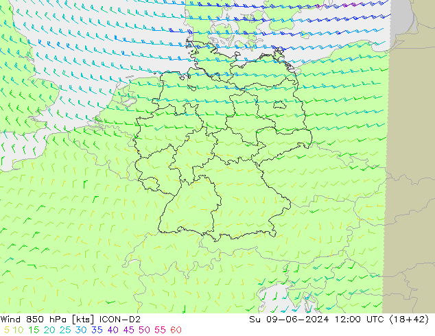 ветер 850 гПа ICON-D2 Вс 09.06.2024 12 UTC