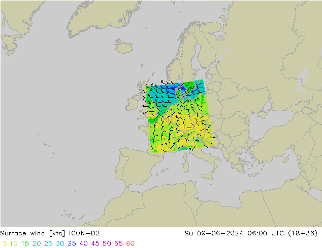  10 m ICON-D2  09.06.2024 06 UTC