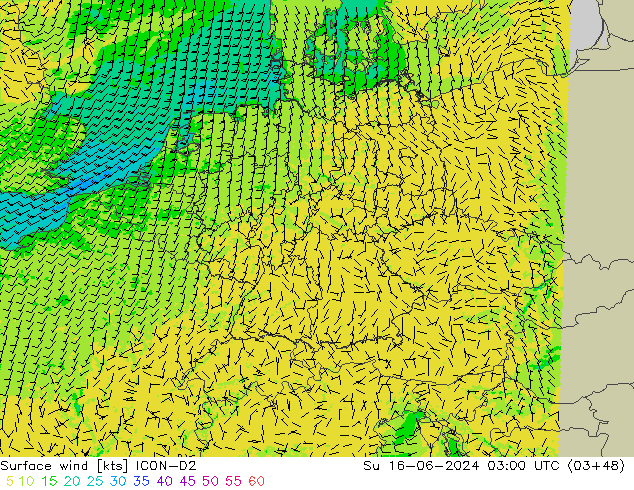 ветер 10 m ICON-D2 Вс 16.06.2024 03 UTC