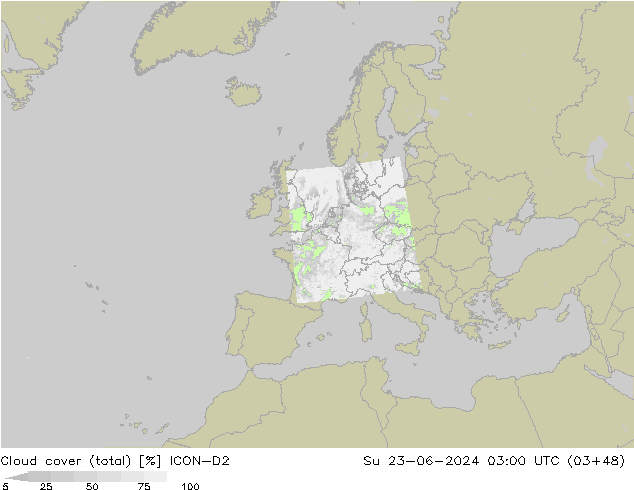 Cloud cover (total) ICON-D2 Ne 23.06.2024 03 UTC