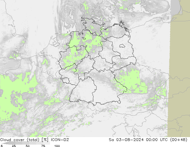 云 (总) ICON-D2 星期六 03.08.2024 00 UTC