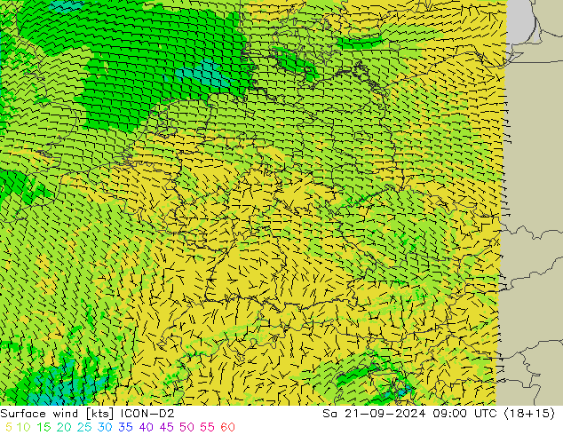 Surface wind ICON-D2 Sa 21.09.2024 09 UTC