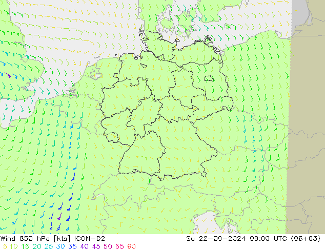 风 850 hPa ICON-D2 星期日 22.09.2024 09 UTC
