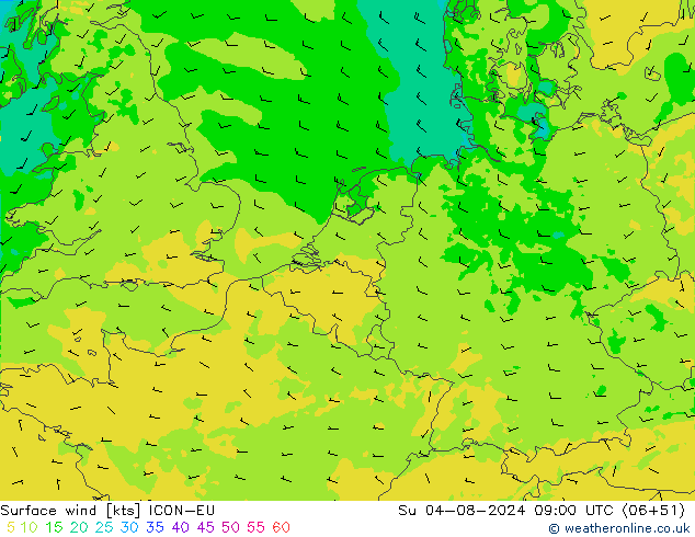 Wind 10 m ICON-EU zo 04.08.2024 09 UTC