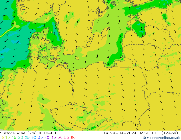 ветер 10 m ICON-EU вт 24.09.2024 03 UTC