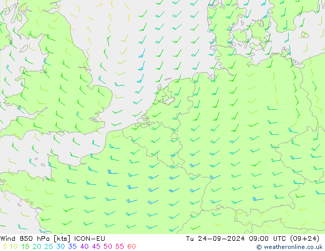 Wind 850 hPa ICON-EU di 24.09.2024 09 UTC