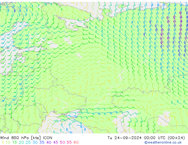 Wind 850 hPa ICON Tu 24.09.2024 00 UTC