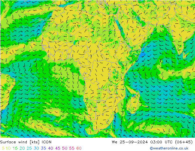 Surface wind ICON We 25.09.2024 03 UTC