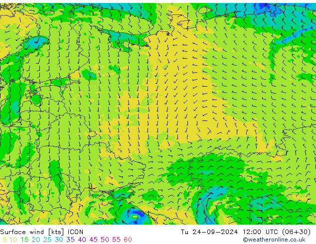 Surface wind ICON Tu 24.09.2024 12 UTC