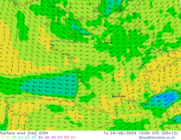 ветер 10 m ICON вт 24.09.2024 12 UTC