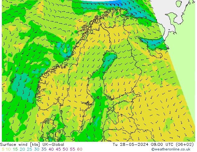 Vento 10 m UK-Global Ter 28.05.2024 08 UTC