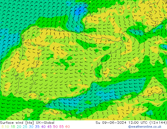 Surface wind UK-Global Su 09.06.2024 12 UTC