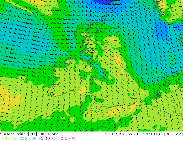 Surface wind UK-Global Su 09.06.2024 12 UTC