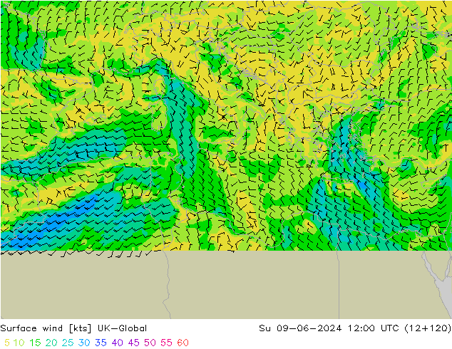 Wind 10 m UK-Global zo 09.06.2024 12 UTC