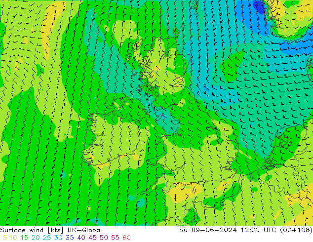 Bodenwind UK-Global So 09.06.2024 12 UTC