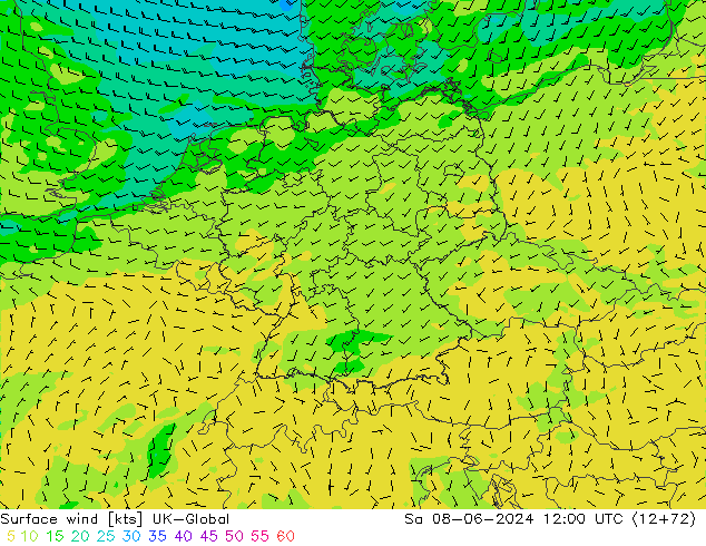 ветер 10 m UK-Global сб 08.06.2024 12 UTC