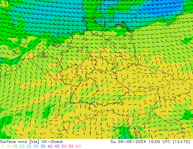 Wind 10 m UK-Global zo 09.06.2024 15 UTC