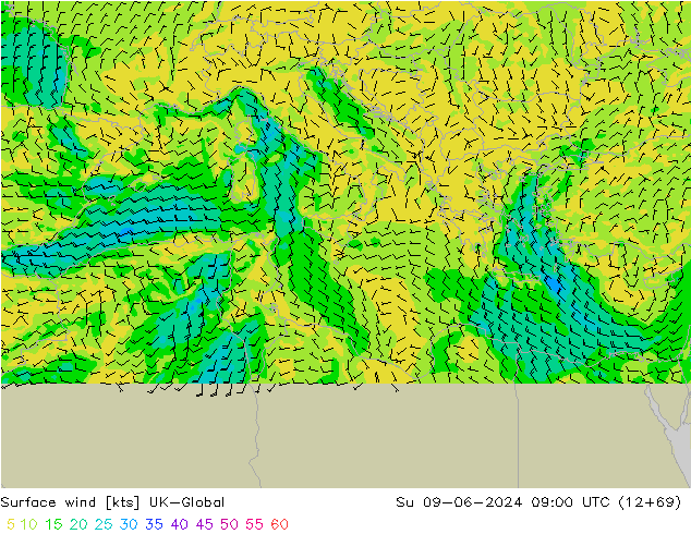 Surface wind UK-Global Su 09.06.2024 09 UTC