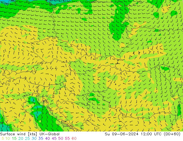 Surface wind UK-Global Su 09.06.2024 12 UTC