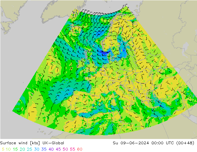 Wind 10 m UK-Global zo 09.06.2024 00 UTC