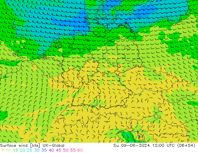 Wind 10 m UK-Global zo 09.06.2024 12 UTC