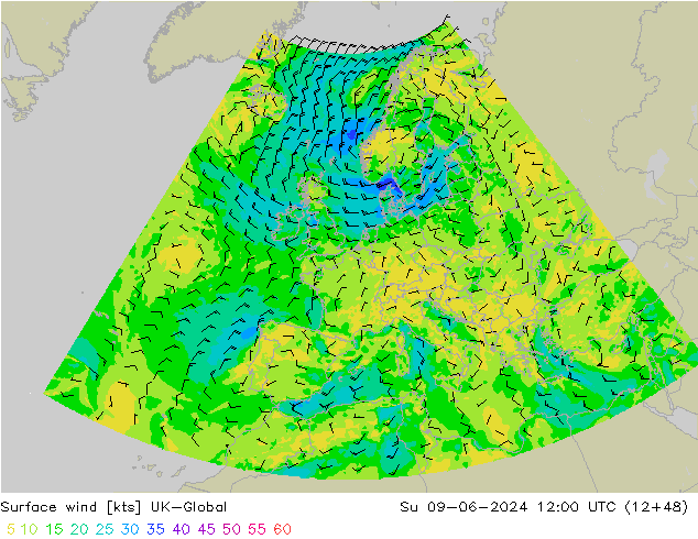 Surface wind UK-Global Su 09.06.2024 12 UTC