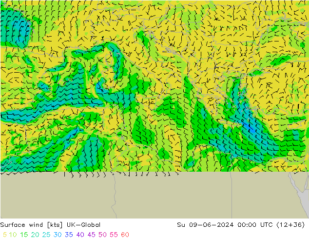 Surface wind UK-Global Ne 09.06.2024 00 UTC