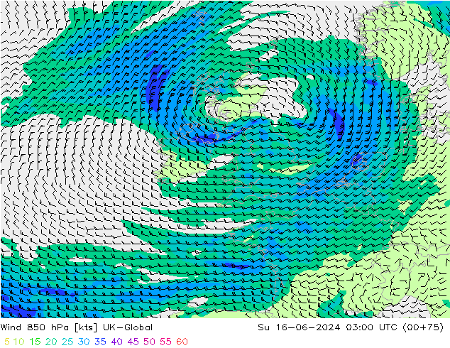 ветер 850 гПа UK-Global Вс 16.06.2024 03 UTC