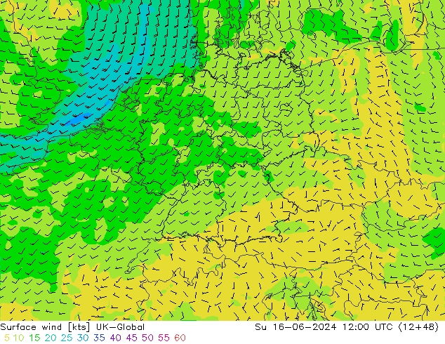 Bodenwind UK-Global So 16.06.2024 12 UTC