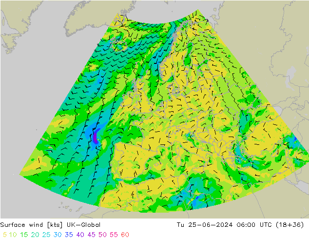 Bodenwind UK-Global Di 25.06.2024 06 UTC