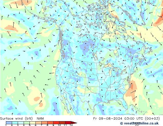 Wind 10 m (bft) NAM vr 09.08.2024 03 UTC