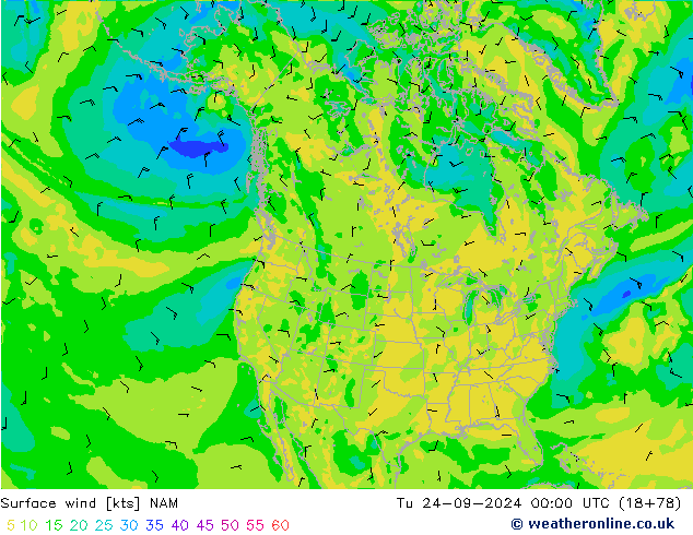 Wind 10 m NAM di 24.09.2024 00 UTC