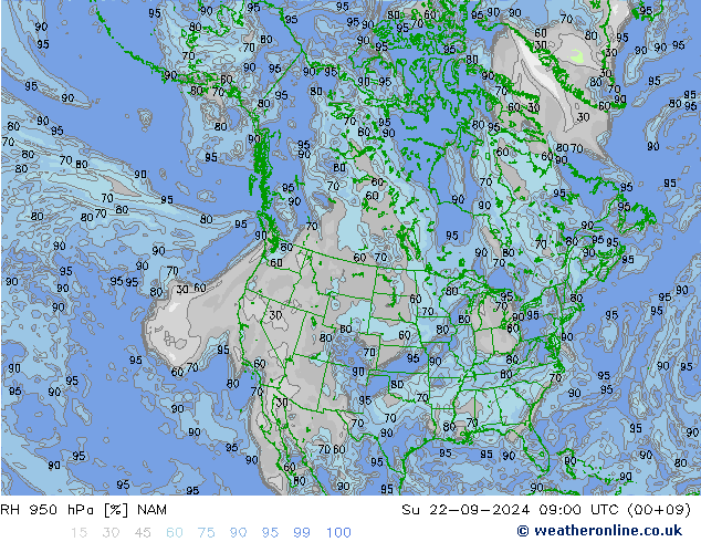 RH 950 hPa NAM Dom 22.09.2024 09 UTC