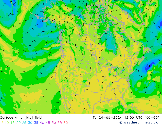 Wind 10 m NAM di 24.09.2024 12 UTC