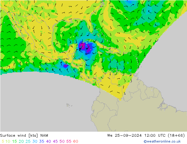 Wind 10 m NAM wo 25.09.2024 12 UTC