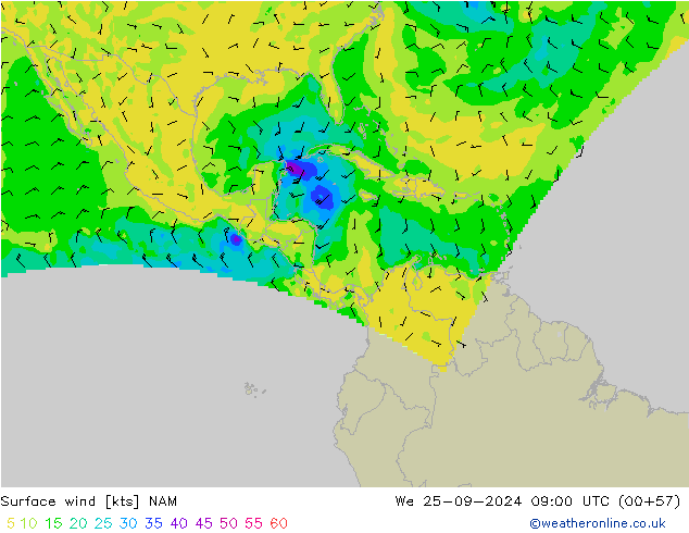 Surface wind NAM We 25.09.2024 09 UTC