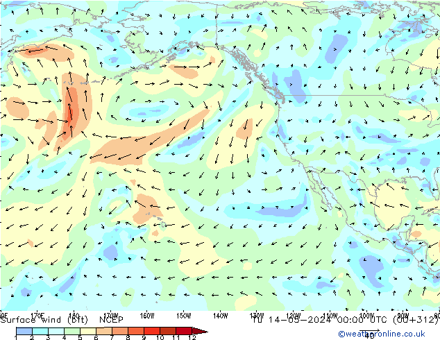 Surface wind (bft) NCEP Tu 14.05.2024 00 UTC